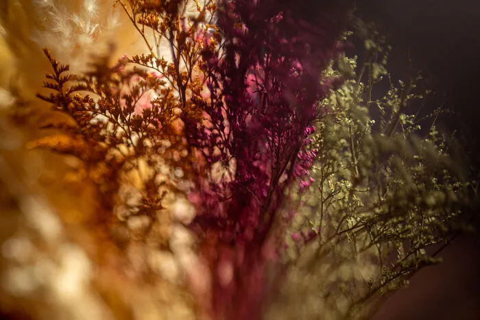 Dried Floral (1)
