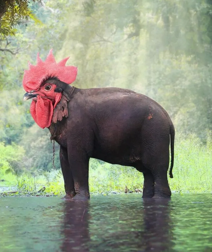 68 Imaginary Creatures That I Photoshopped By Fusing Two Existing Ones