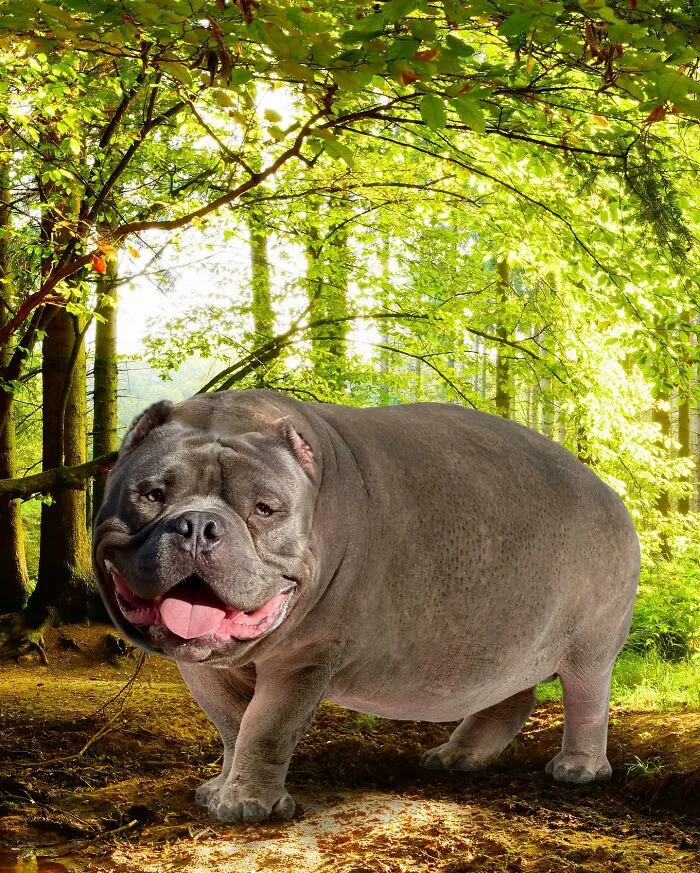 68 Imaginary Creatures That I Photoshopped By Fusing Two Existing Ones