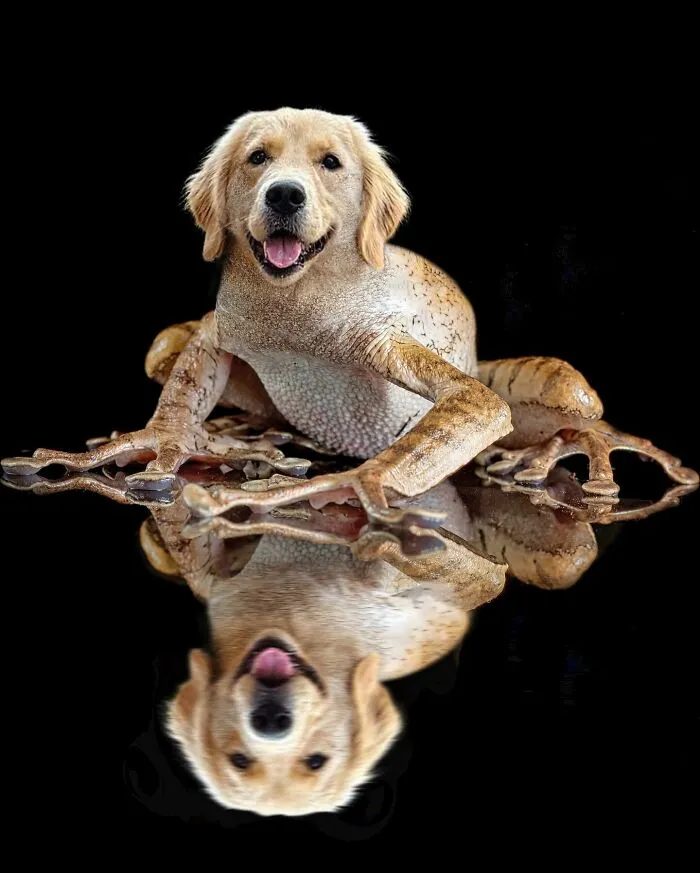 68 Imaginary Creatures That I Photoshopped By Fusing Two Existing Ones