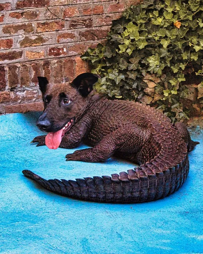 Imaginary creature with a dog's head and crocodile's body laying on blue ground.