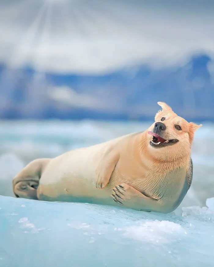 68 Imaginary Creatures That I Photoshopped By Fusing Two Existing Ones