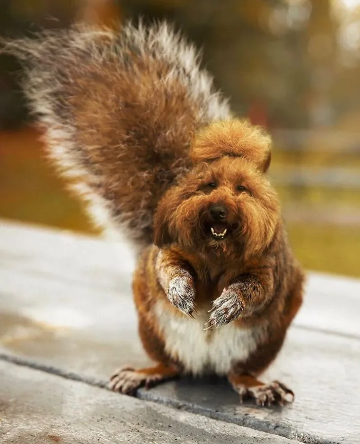 68 Imaginary Creatures That I Photoshopped By Fusing Two Existing Ones