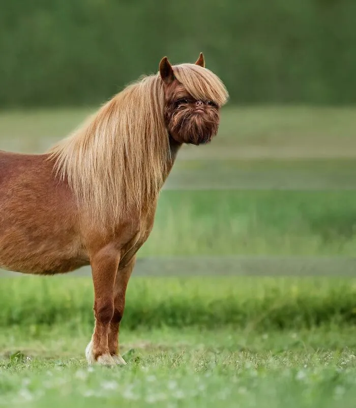 68 Imaginary Creatures That I Photoshopped By Fusing Two Existing Ones