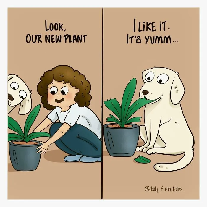 This Artist Makes Wholesome Comics That Show The Unique Dynamic Between Humans And Their Pets (30 Pics)