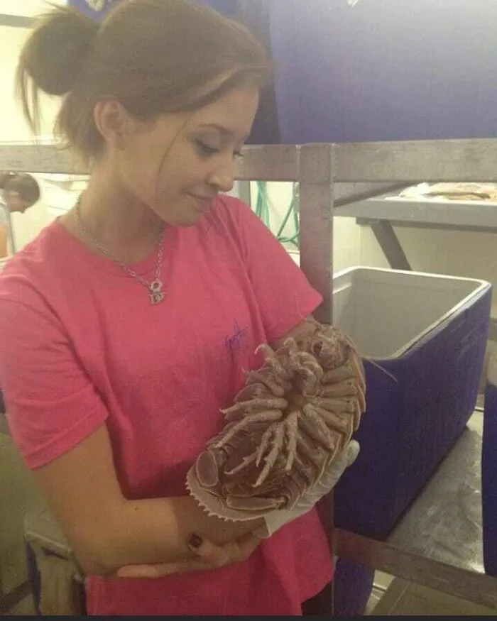 Woman holding a large isopod, showcasing a peculiar and curious scene.