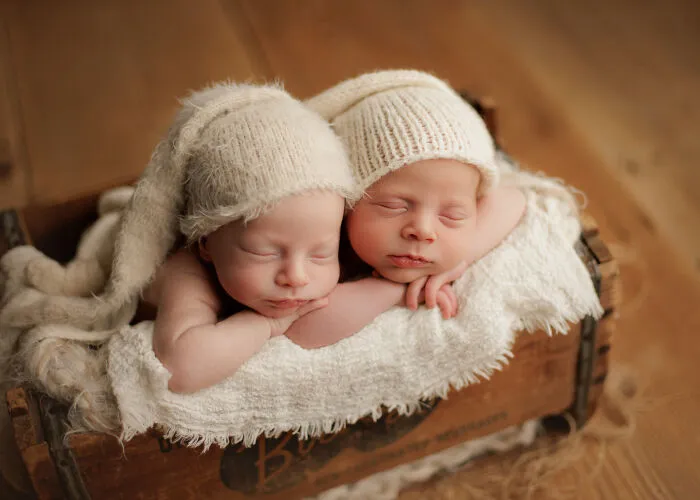 I'm A Chicago Newborn Photographer, And Here Are Some Recent Photos From 2024