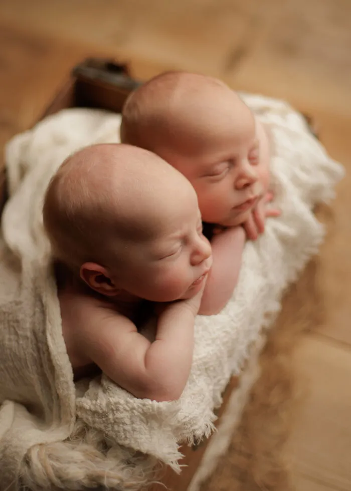 I'm A Chicago Newborn Photographer, And Here Are Some Recent Photos From 2024