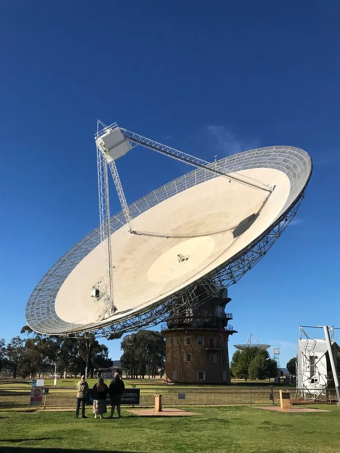 The Dish