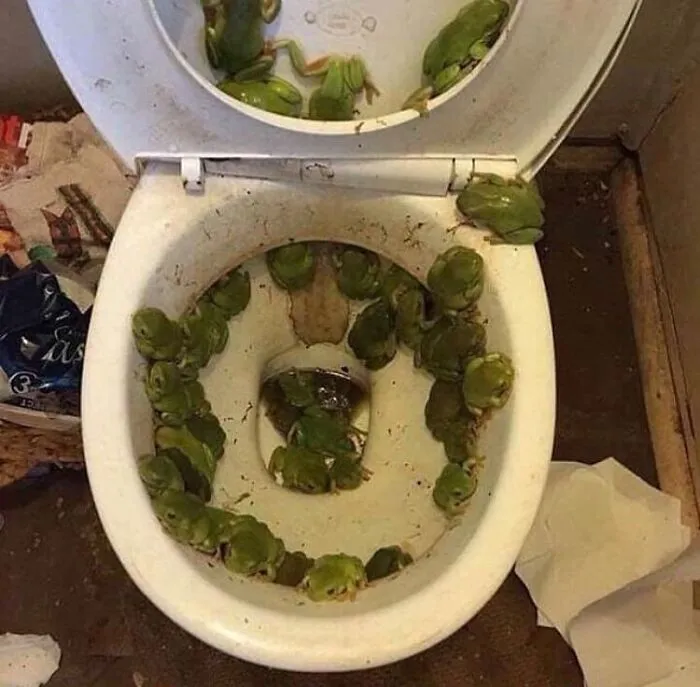 40 Cursed Pics To Make Your Day 100% Weirder, As Shared On This IG Page