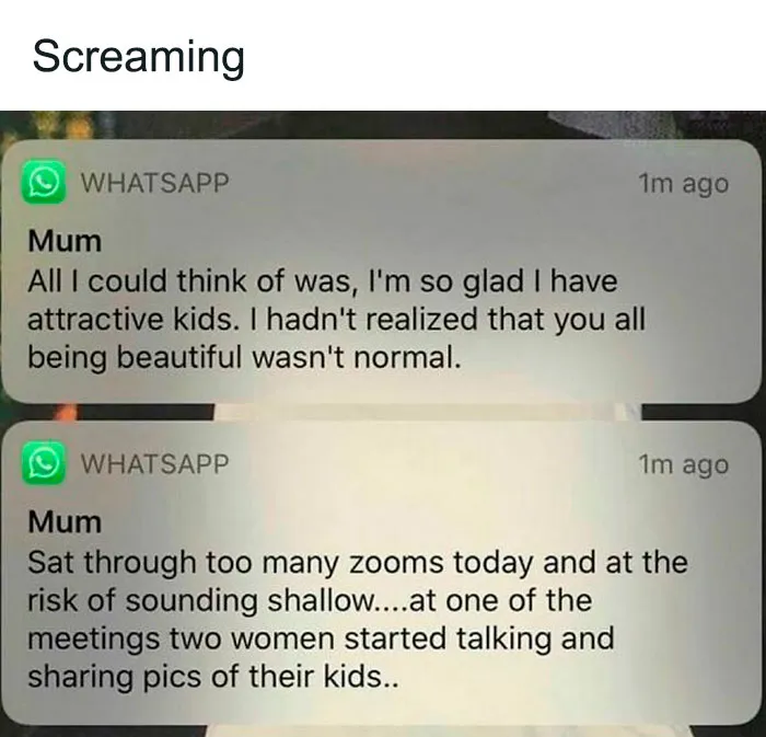 50 Memes That Display British Humor At Its Finest