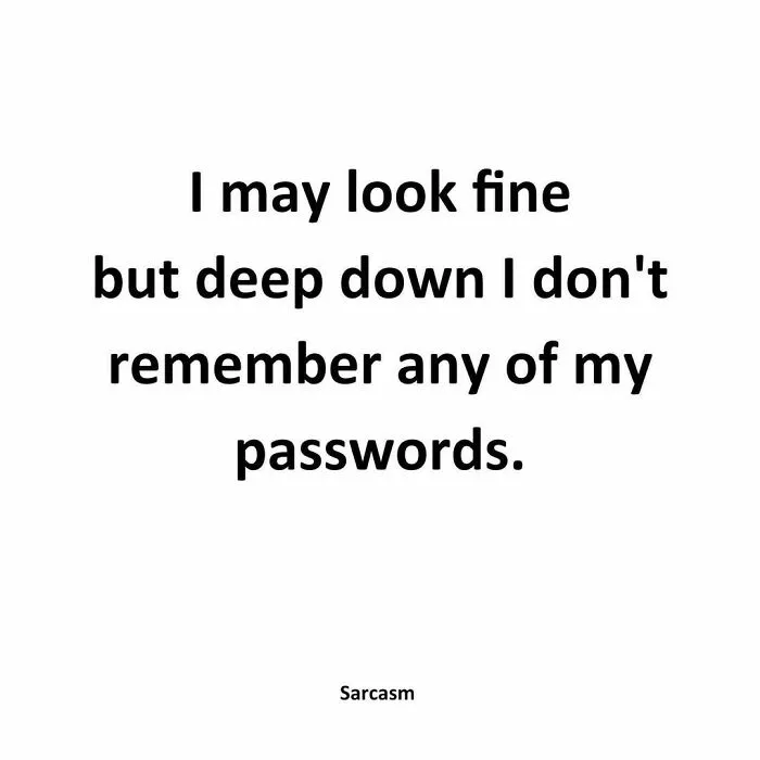 50 Funny Memes That Are Ripe With Sarcastic Undertones For The Whole Family To Enjoy (New Pics)