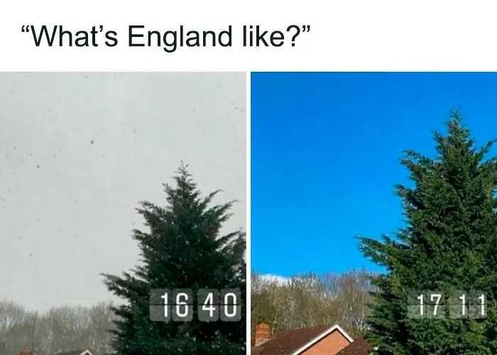 50 Memes That Display British Humor At Its Finest
