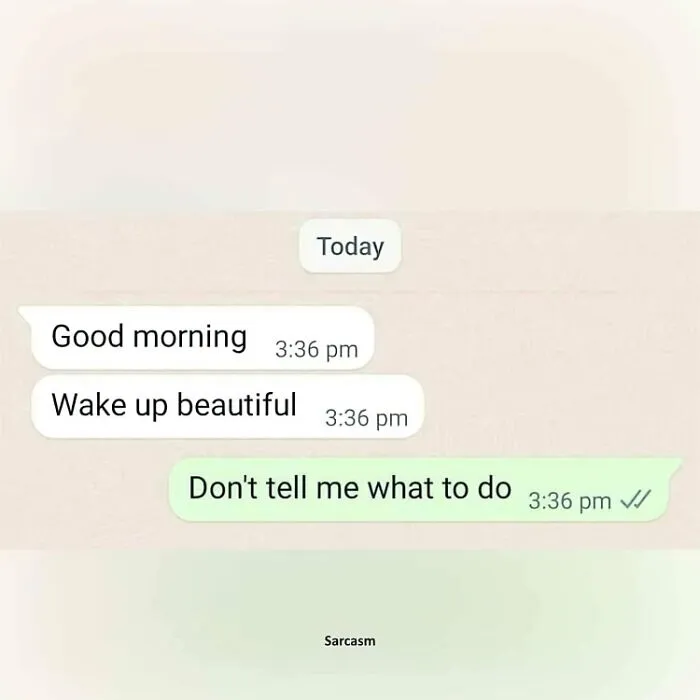 50 Funny Memes That Are Ripe With Sarcastic Undertones For The Whole Family To Enjoy (New Pics)