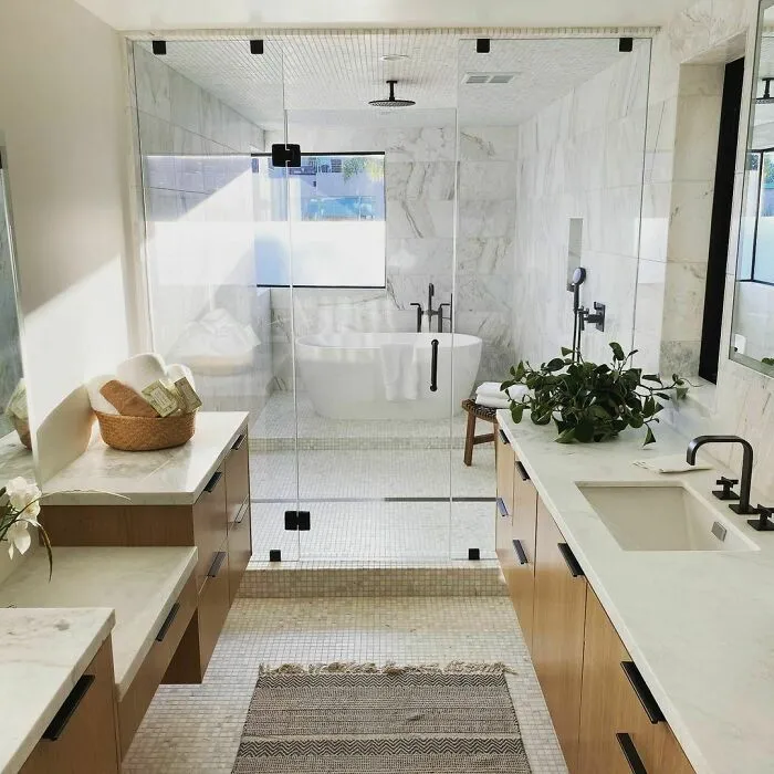 Minimalist Walk-In Tub With Shower 