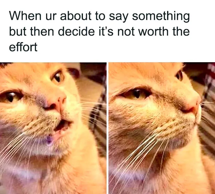 50 Funny Memes For Introverts That Might Make You Feel Understood
