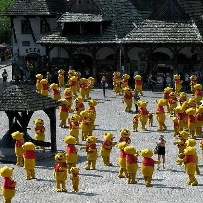 Best-Cursed-Images