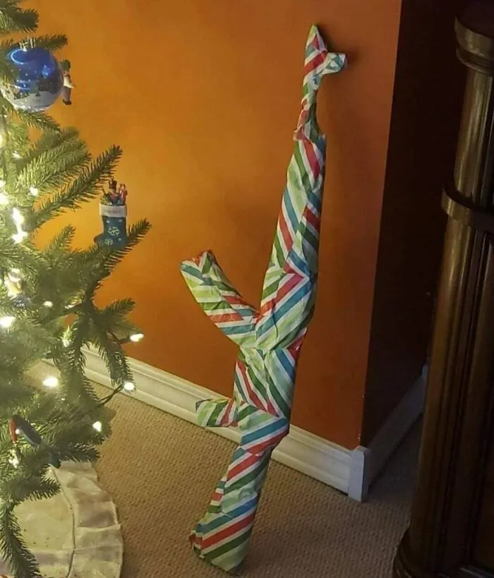 Best-Cursed-Images