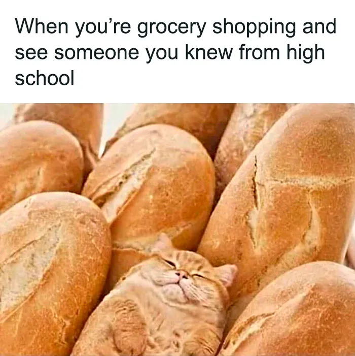 50 Funny Memes For Introverts That Might Make You Feel Understood