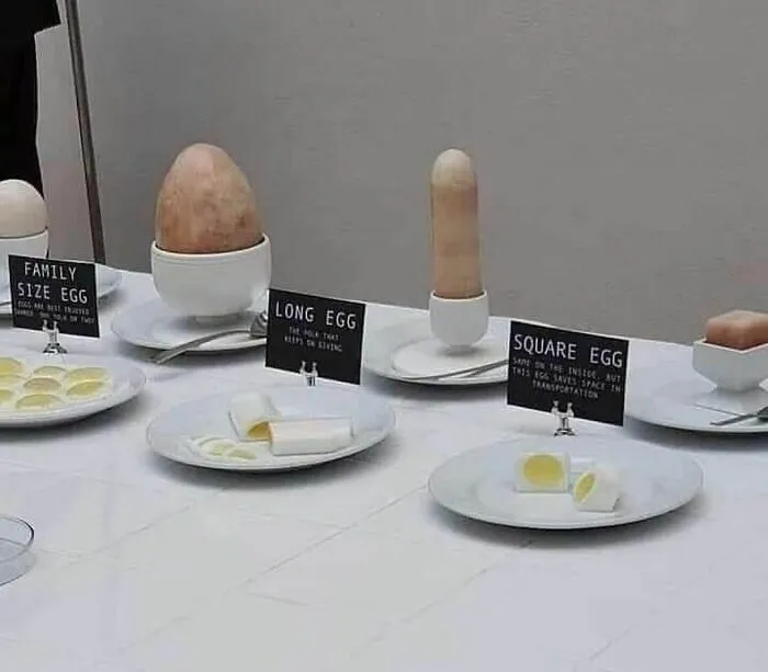 Unusual egg shapes displayed: family size, long, and square eggs with humorous labels, creating a truly weird scene.