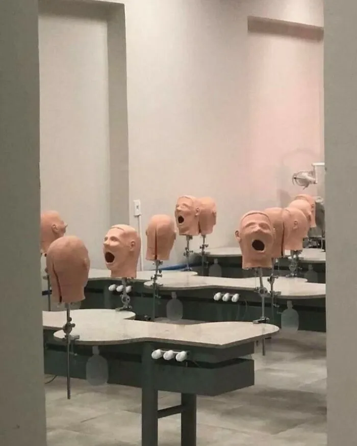 Best-Cursed-Images