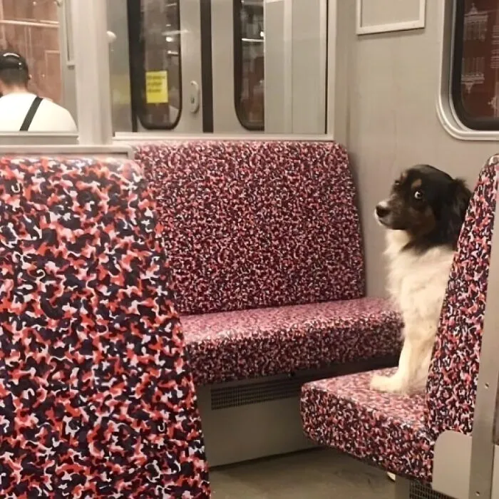 30 Times People Had To Look Twice To Understand What They Were Seeing On The Berlin Subway