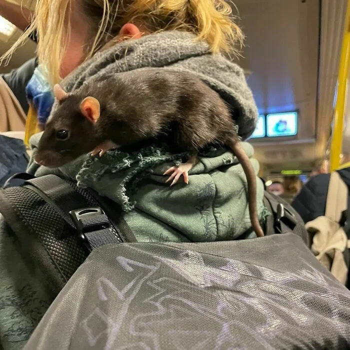 30 Times People Had To Look Twice To Understand What They Were Seeing On The Berlin Subway