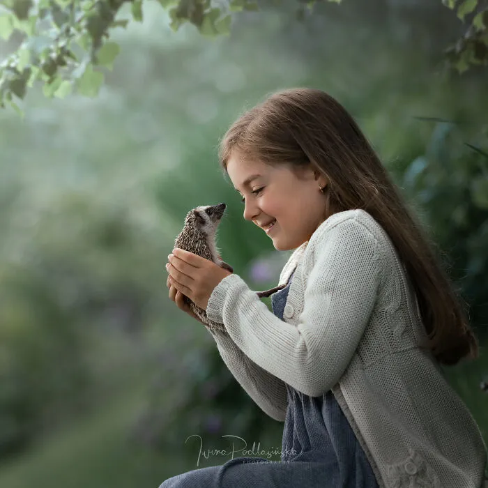 A Girl And A Hedgehog