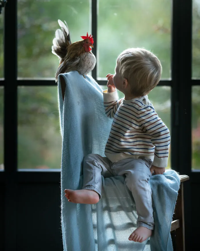 A Boy And A Chicken