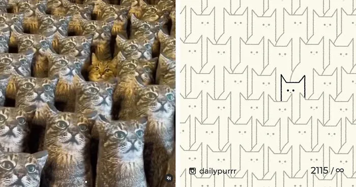35 New “Daily Purrr” Illustrations Featuring The Funniest Internet-Famous Cats