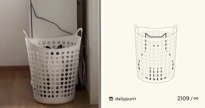 35 New “Daily Purrr” Illustrations Featuring The Funniest Internet-Famous Cats