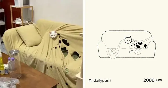 35 New “Daily Purrr” Illustrations Featuring The Funniest Internet-Famous Cats
