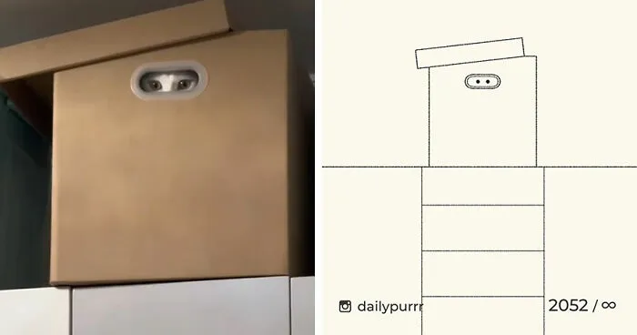 35 New “Daily Purrr” Illustrations Featuring The Funniest Internet-Famous Cats