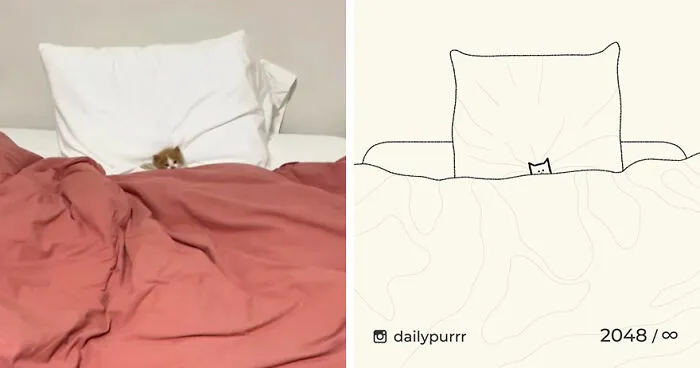 35 New “Daily Purrr” Illustrations Featuring The Funniest Internet-Famous Cats