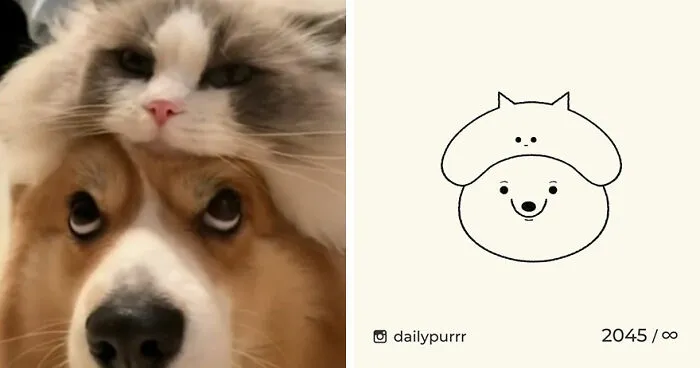 35 New “Daily Purrr” Illustrations Featuring The Funniest Internet-Famous Cats