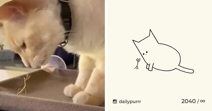 35 New “Daily Purrr” Illustrations Featuring The Funniest Internet-Famous Cats