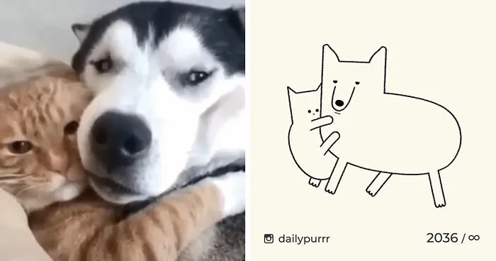 35 New “Daily Purrr” Illustrations Featuring The Funniest Internet-Famous Cats