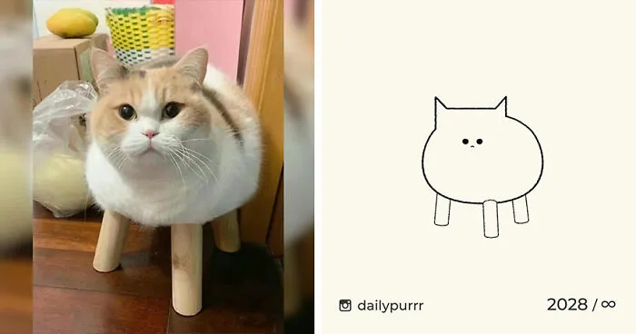 35 New “Daily Purrr” Illustrations Featuring The Funniest Internet-Famous Cats