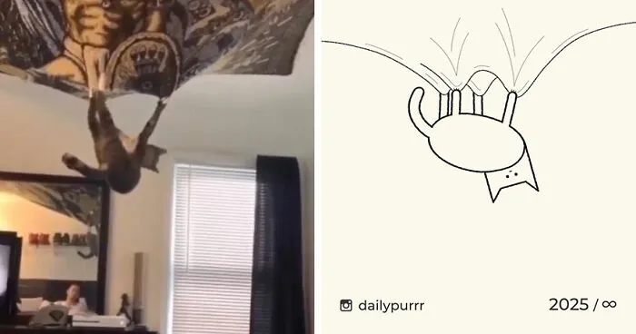 35 New “Daily Purrr” Illustrations Featuring The Funniest Internet-Famous Cats