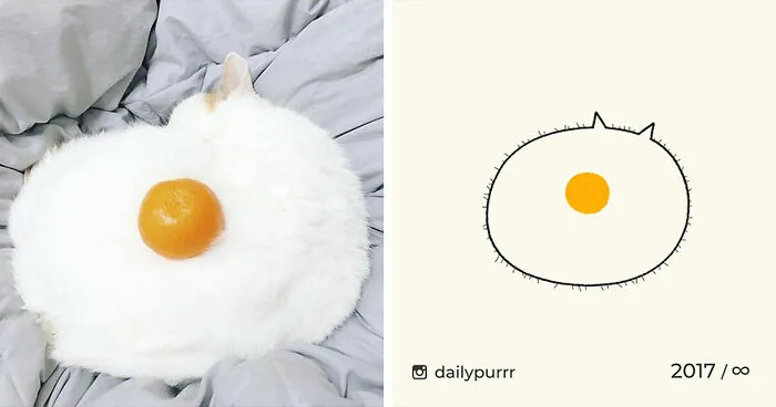 35 New “Daily Purrr” Illustrations Featuring The Funniest Internet-Famous Cats