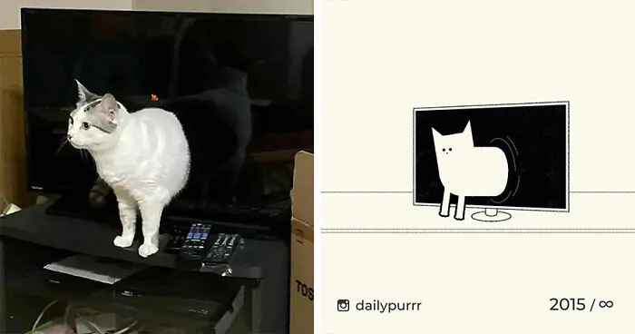 35 New “Daily Purrr” Illustrations Featuring The Funniest Internet-Famous Cats