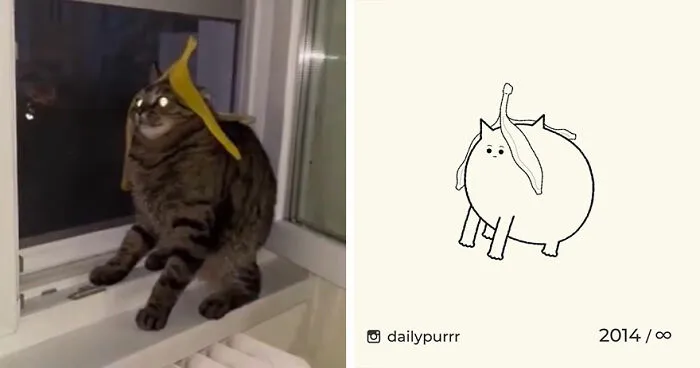35 New “Daily Purrr” Illustrations Featuring The Funniest Internet-Famous Cats
