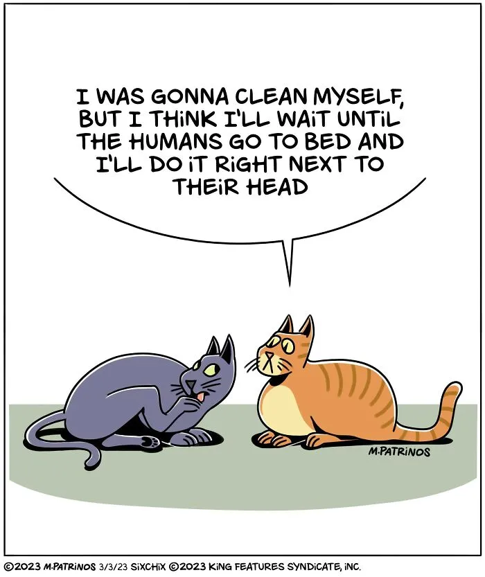 45 Funny And Relatable Situations Illustrated By Maritsa Patrinos To Brighten Up Your Day