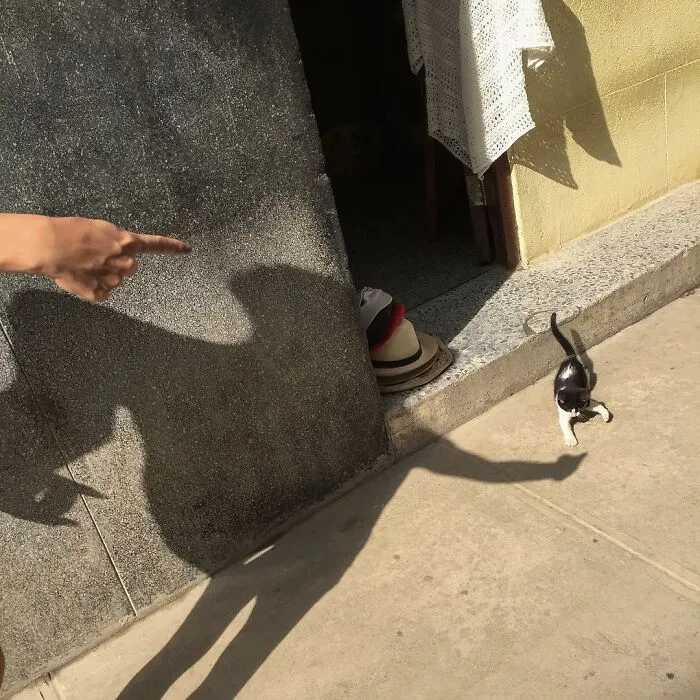 30 Hilarious Accidental Images Captured By This Street Photographer