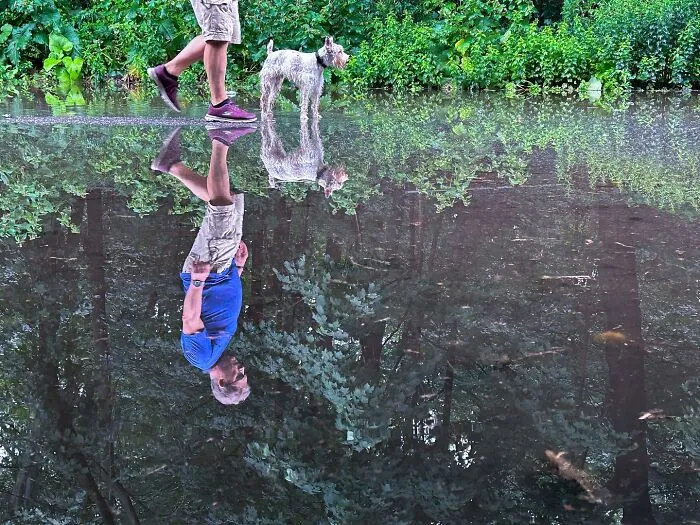 30 Hilarious Accidental Images Captured By This Street Photographer