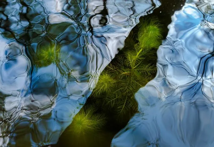1st Place In The Category Of Intimate Landscape: "Undertow" By Csaba Daróczi