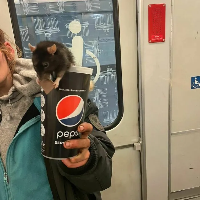 30 Times People Had To Look Twice To Understand What They Were Seeing On The Berlin Subway