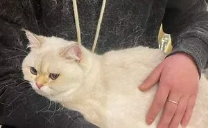 50 Pictures Of Pets Being Incredibly Silly To Make You Laugh