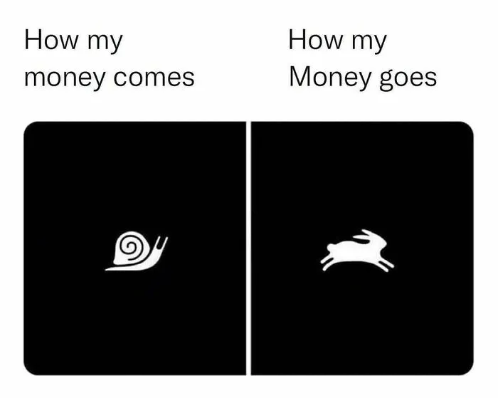 Introvert meme depicting a snail for slow money income and a rabbit for fast money spending.