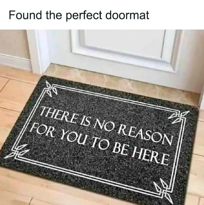 50 Funny Memes For Introverts That Might Make You Feel Understood